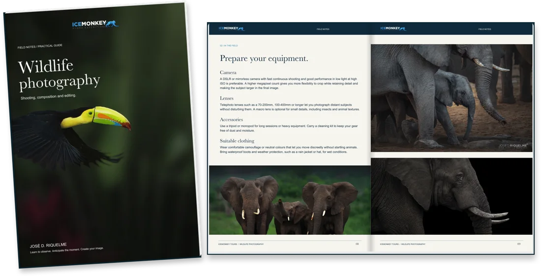 “Wildlife photography”, a guide by José D. Riquelme
