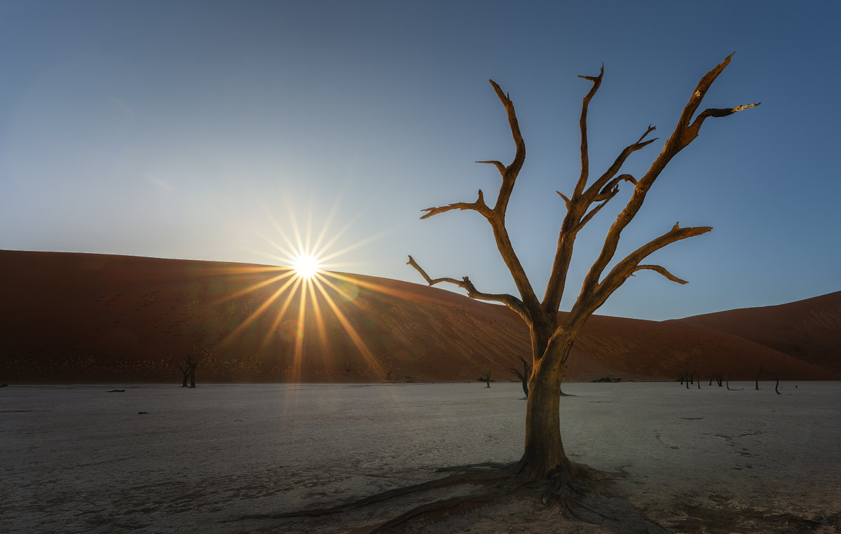 Sol en Deadvlei