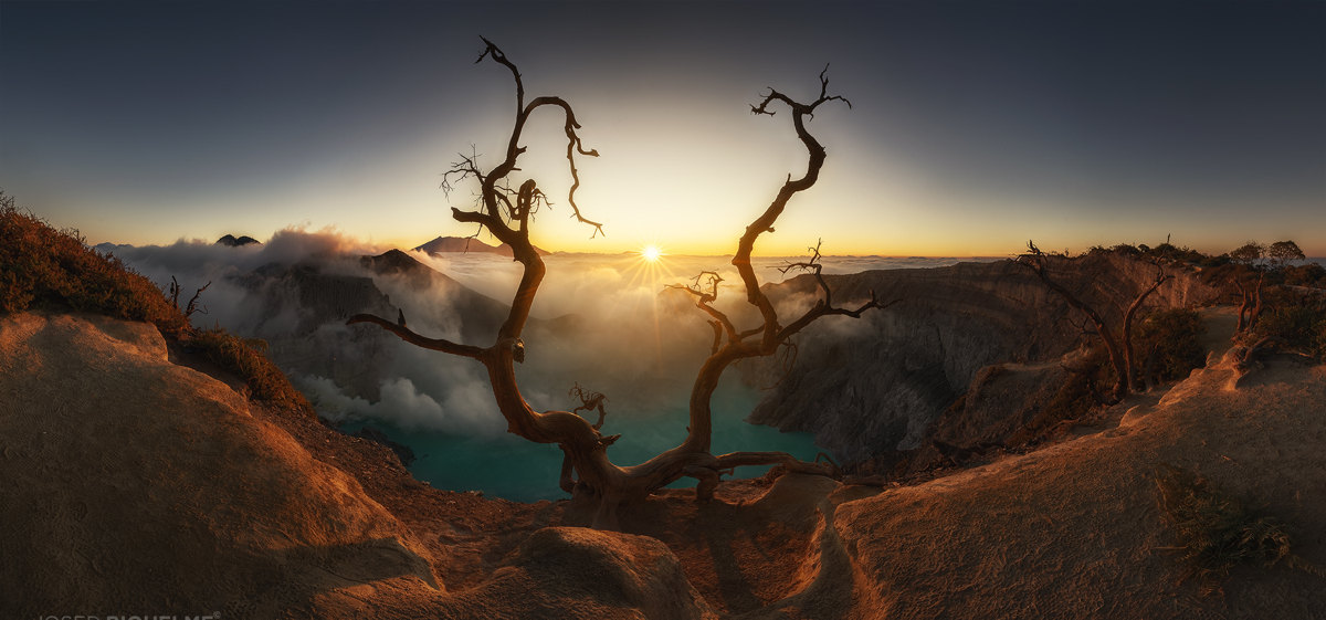 El árbol del Ijen